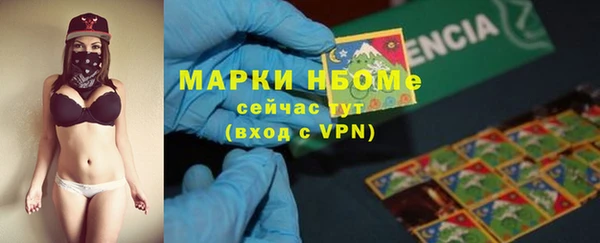эйфоретик Бородино
