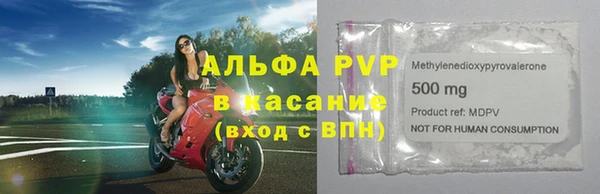 прущие грибы Бронницы