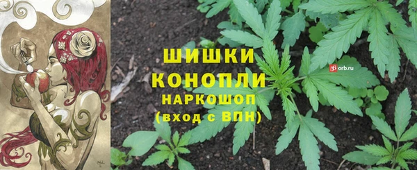бутират Богданович