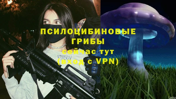 круглые Богородицк