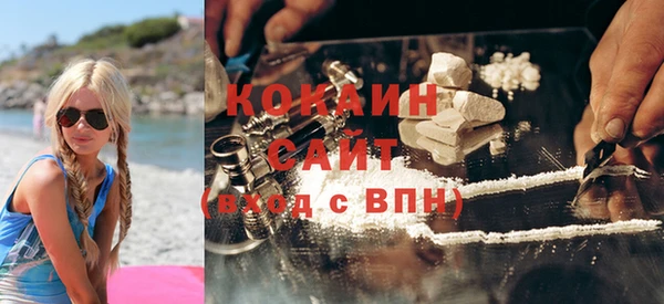 прущие грибы Бронницы