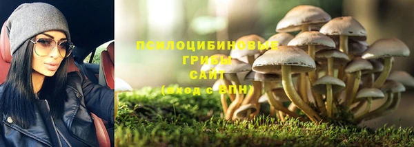 бутират Богданович