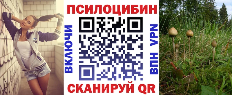 где купить наркоту  Верхняя Тура  кракен ONION  Псилоцибиновые грибы мицелий 